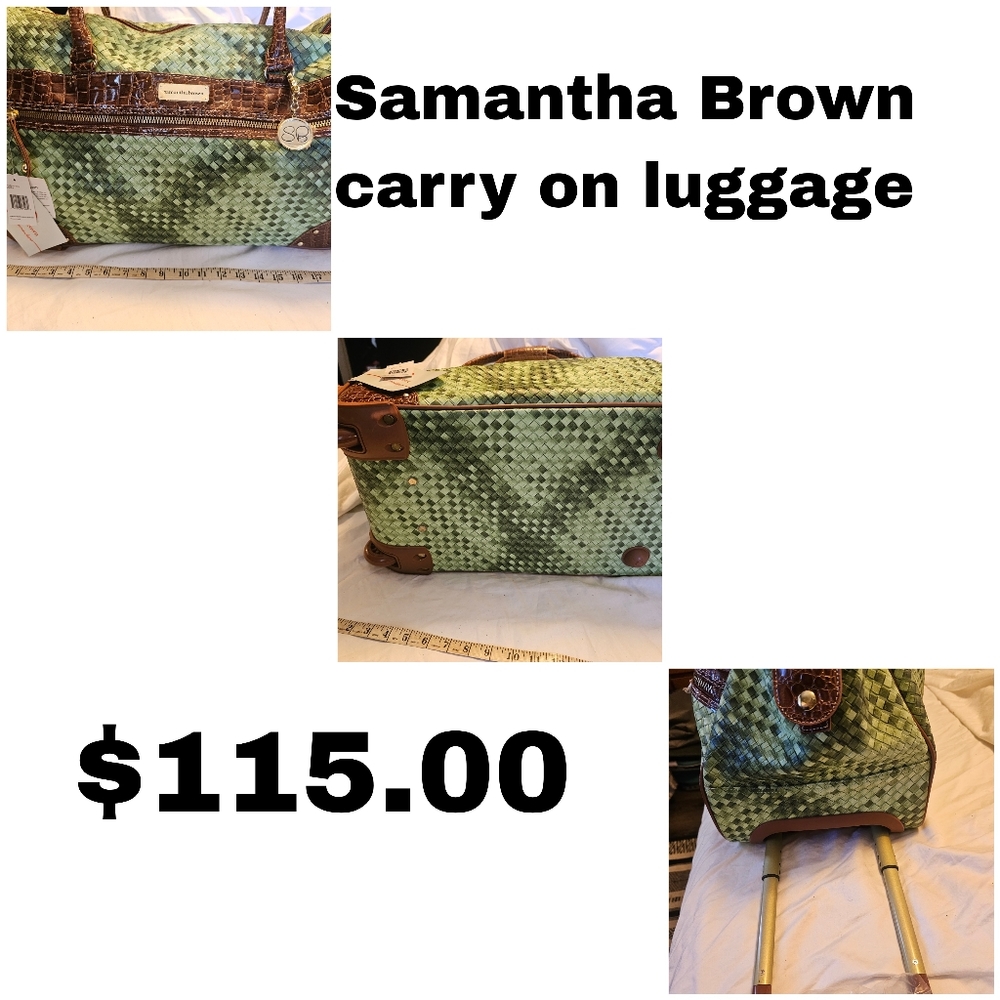 Carry in Luggage